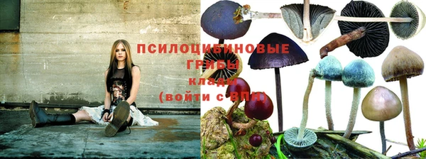 мдпв Заволжск
