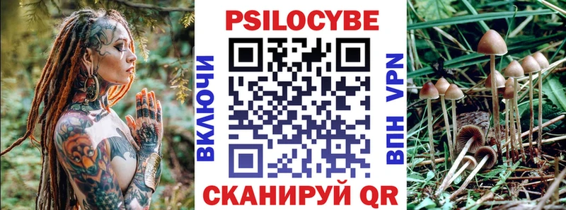 Галлюциногенные грибы Psilocybe  Купить  Октябрьск 